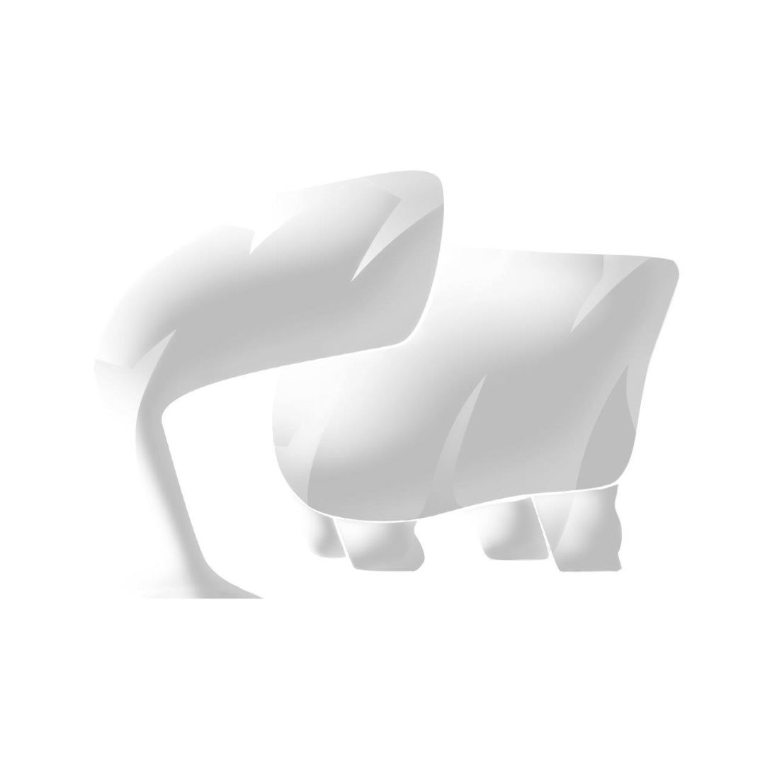 platzhalter_elefantenstark